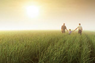 صورة لمطبق مبيدات الآفات