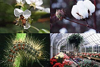 خدمات المصنع والصناعة